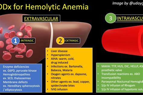 How do you workup hemolytic anemia? – Inspired MedEd