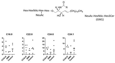 IJMS | Free Full-Text | Glycosphingolipids with Very Long-Chain Fatty Acids Accumulate in ...