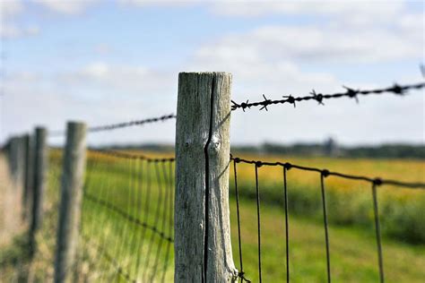 Types of Fencing for Your Small Farm