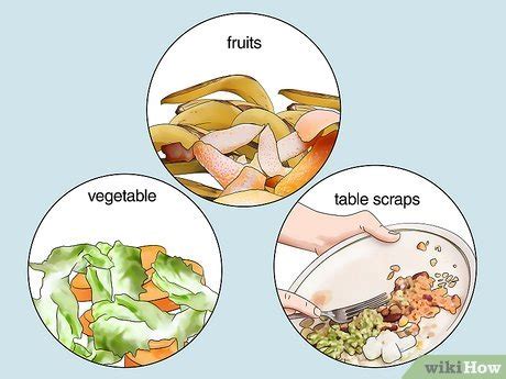 How to Recycle Biodegradable Waste: 15 Steps