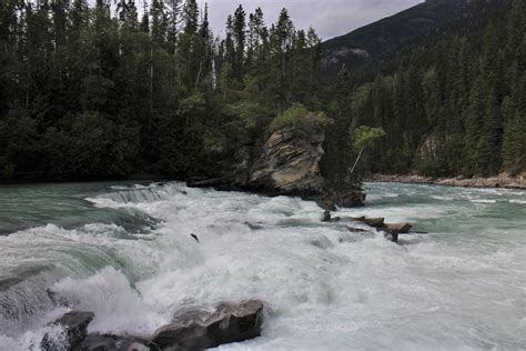 Salmon Jumping, Rearguard Falls, Rearguard Falls Provincia… | Flickr