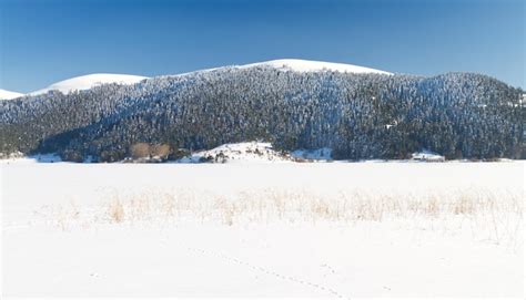 Premium Photo | Abant lake bolu turkey