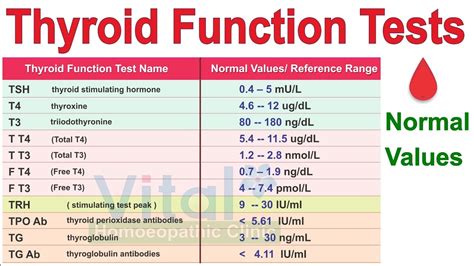 Thyroid Tsh Levels Chart For Men