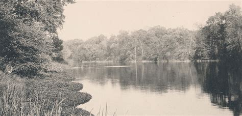 Bright Kalamazoo: 1854 Song and Chorus — Kalamazoo Public Library