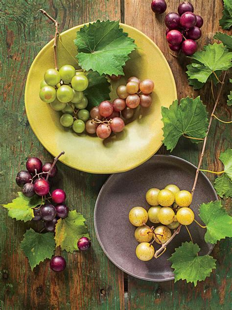 How To Grow And Care For Muscadines