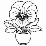 Pansy Flower Outline Illustration coloring Book Page Design  sketch template