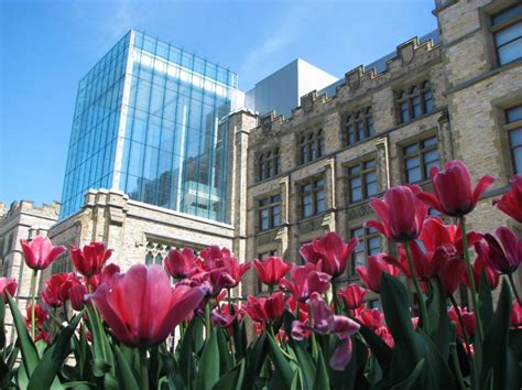 Ottawa, Ontario, Canada: Canadian Museum of Nature by Kpmb Architects | HQ Architecture