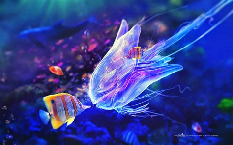 Unique and Cool Sea Creature | Archzaki.Net
