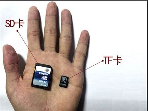 What is Difference Between SD Card And TF Cards ? - tecyplanet’s diary