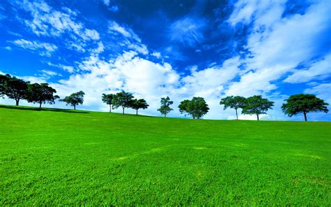 HD Green Landscape Wallpapers - Top Free HD Green Landscape Backgrounds - WallpaperAccess