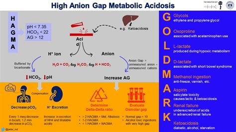 Skeleton Key Group Case 18: Filling in the Gap - Renal Fellow Network