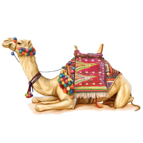 Camel PNG Image - PurePNG | Free transparent CC0 PNG Image Library