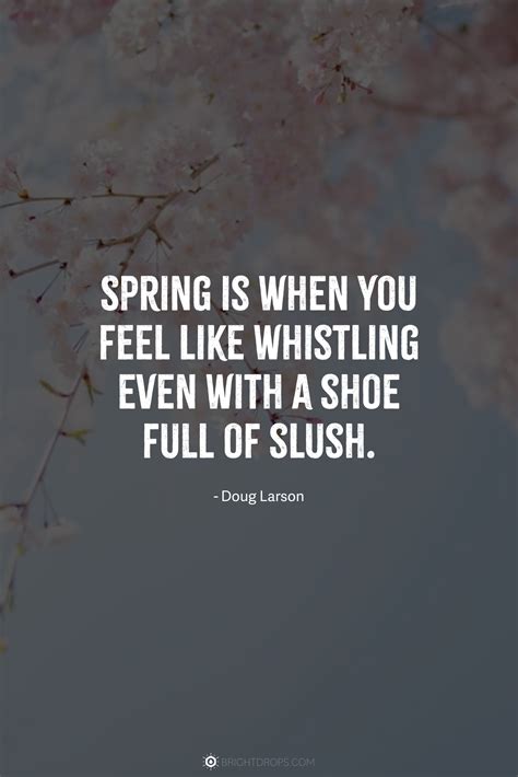 68 Quotes About Spring (With Beautiful Images) - Bright Drops