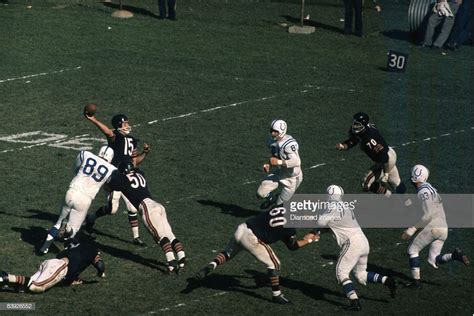 Gino Marchetti (89). 10-15-61. (Colts at Bears) | Baltimore colts ...