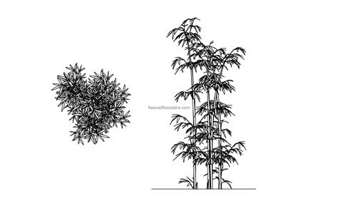 Bamboo Plant - Free CAD Drawings