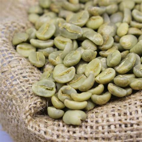 Liberica Coffee Beans Manufacturers | Liberica Coffee Beans Suppliers - Eworldtrade.com