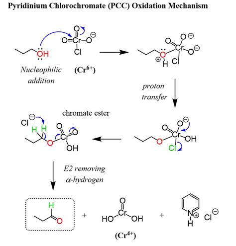 the diagram shows different types of hydroic and other substances ...