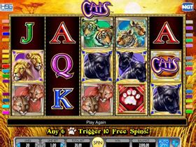 Cats Slot Game | Online Slots