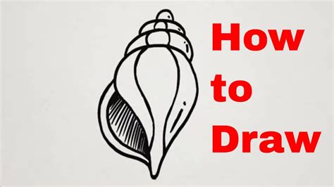 How To Draw A Shell