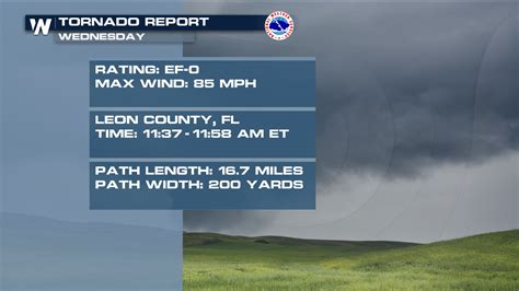 Tornado Hits Tallahassee, Damages Airport - WeatherNation