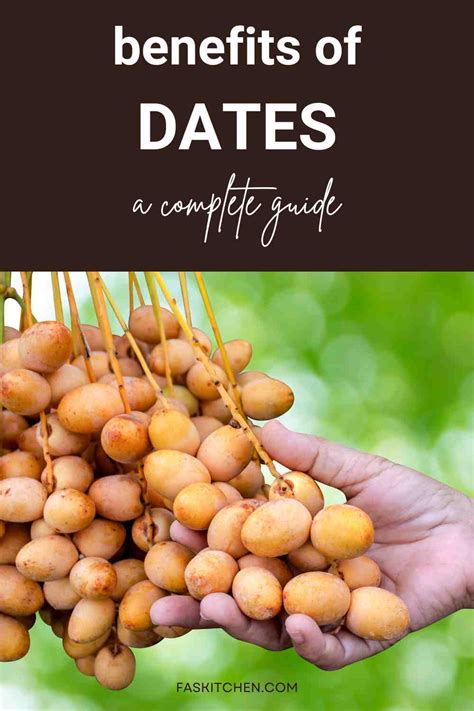 Dates Fruit 101: Nutrition, Benefits, How To Use, Buy, Store | Dates: A ...