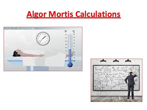 Algor Mortis Calculations Information 1 st 12 hours