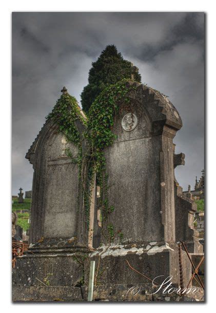 17 Best images about Abandoned cemeteries on Pinterest | Highgate ...