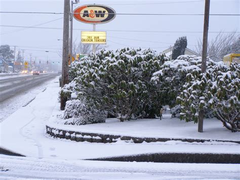 Snow falls in Florence on the Oregon Coast | PHOTOS | KVAL