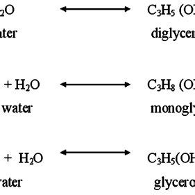 Hydrolysis reaction of vegetable oil. | Download Scientific Diagram