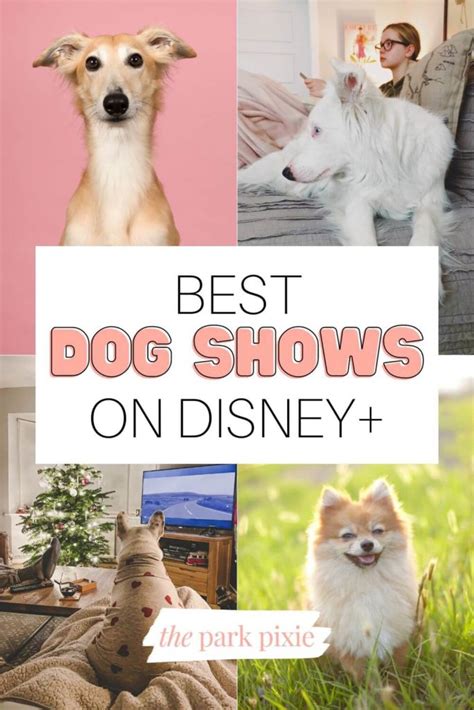 20 Best Disney Dog Shows on Disney+ Ready to Stream Now