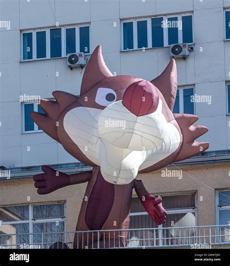 Beloved Sarajevo wolf mascot, Vucko, arrives at building Stock Photo ...