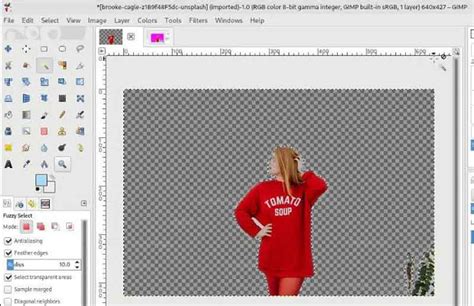 Concrete Guide to Remove Image Background in GIMP for Beginners