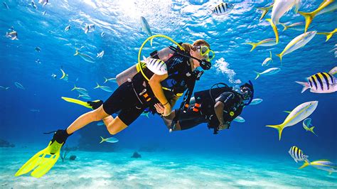 PADI Discover SCUBA Diving Experience | Scubaland Adventures