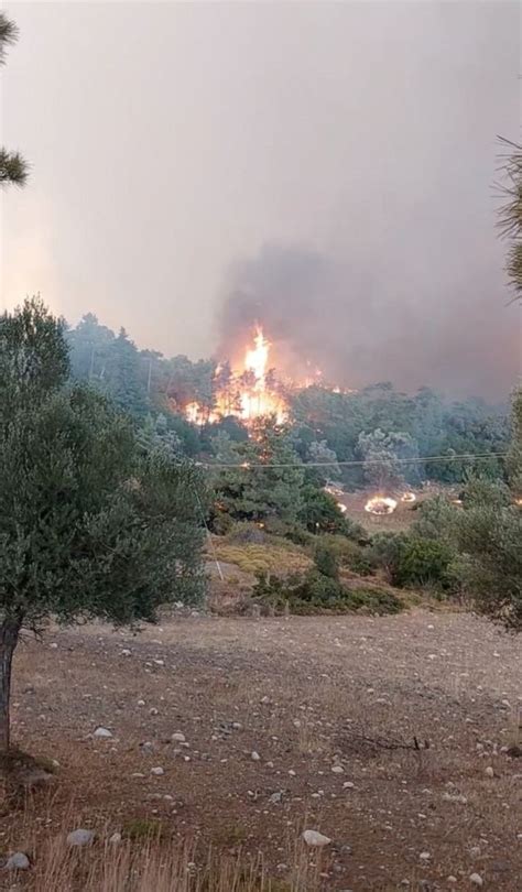 Wildfires rage amid heat wave in Greece, prompting evacuations and call for European support ...