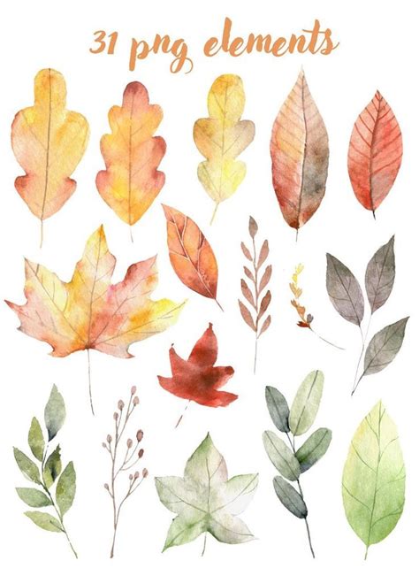 Watercolor fall clipart. Fall leaves clipart. Autumn | Etsy | Autumn illustration, Fall ...