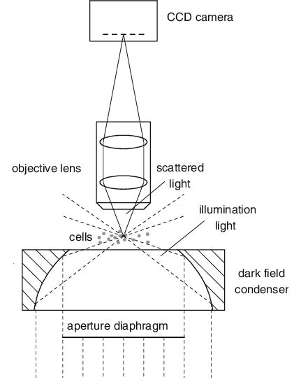 Dark-field Microscopy Depends on Which Characteristic of Light