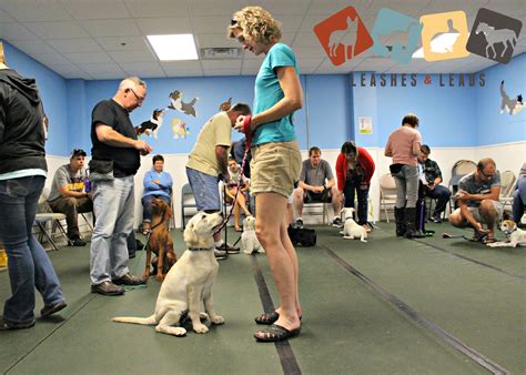 Puppy Class | Puppy classes, Puppies, Puppy training