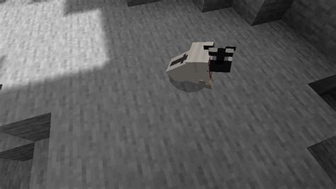 The Pug Addon (Now On Wolves+!) | Minecraft PE Mods & Addons