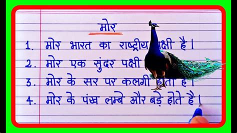 10 lines Essay on Peacock In hindi | मोर पर 10 लाइन निबंध | Mor par nibandh 10 line hindi me ...