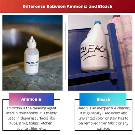 Ammonia vs Bleach: Difference and Comparison