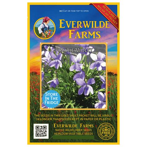 Everwilde Farms - 100 Prairie Violet Native Wildflower Seeds - Gold ...