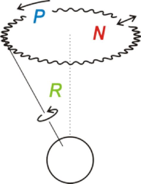 Precession (P) and nutation (N) of the Earth's rotation axis (R ...