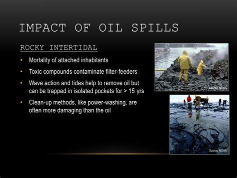 PPT - Oil pollution …and some solutions PowerPoint Presentation, free ...