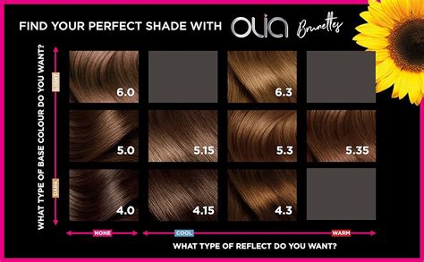 Garnier Olia Permanent Hair Colour Iced Chocolate | ubicaciondepersonas.cdmx.gob.mx