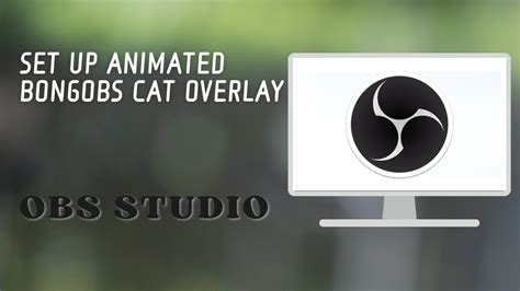 Set Up Animated Bongobs Cat Overlay in OBS - YouTube