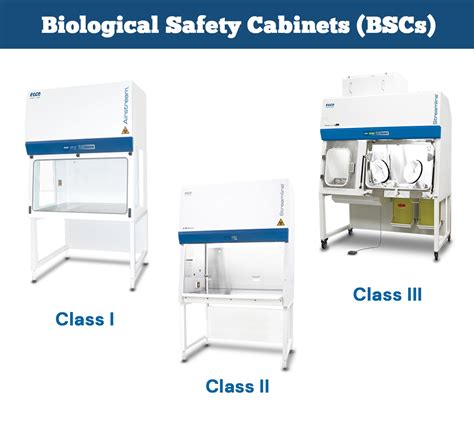 Biological Safety Cabinet (BSC): Types and Working Mechanism • Microbe Online