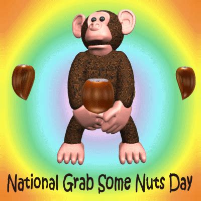 Monkey Nuts GIFs - Find & Share on GIPHY