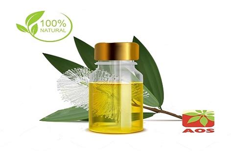 Cajeput Oil - Uses, Benefits and Properties of Cajeput Oil