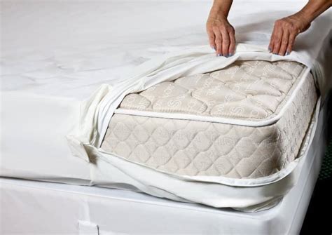 Best Bed Bug Mattress Covers & Encasements | PestSeek