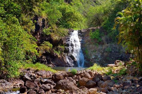 Waimea Falls is located in Waimea Valley’s beautiful botanical garden. Waimea Falls, Waimea Bay ...